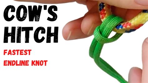 How to Tie the Cow's Hitch Knot - YouTube