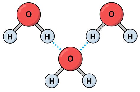 Hydrogen Bonding