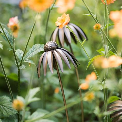 Buy Echinacea plant stake - antique bronze: Delivery by Crocus