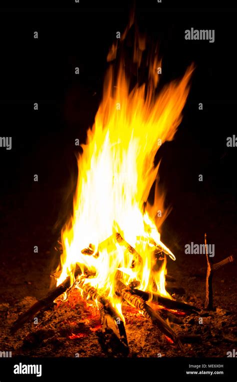 Flames of a campfire in the night. For your commercial and editorial ...