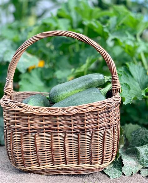 Premium Photo | Harvest organic vegetable fresh vegetables in a basket concept of organic vegetables