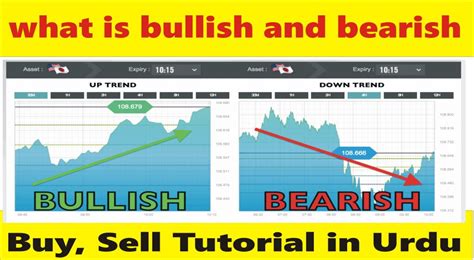 What is bullish and bearish in trading | Forex basics tutorial