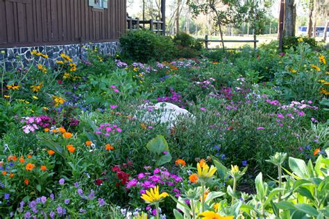 Milkweed Gardens: Places: Butterfly Garden at Disney's Ft. Wilderness