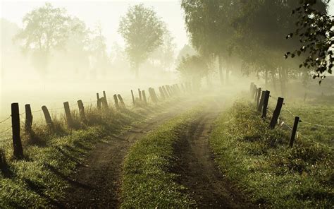 Morning Fog wallpaper | 1920x1200 | #80848