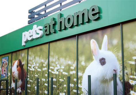 Analysis: How Pets at Home is becoming Amazon-proof | Analysis | Retail Week