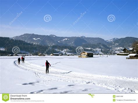 Cross Country Skiing Oberstdorf Stock Photo - Image of winter, snow ...