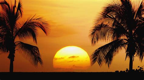 🔥 Download Tropical Beaches Beautiful Palm Trees Sunrise Sunset Landscape by @heatherwagner ...