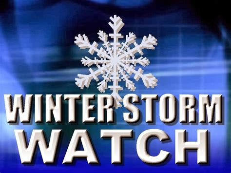 Winter Storm Watch Issued For Schuylkill County