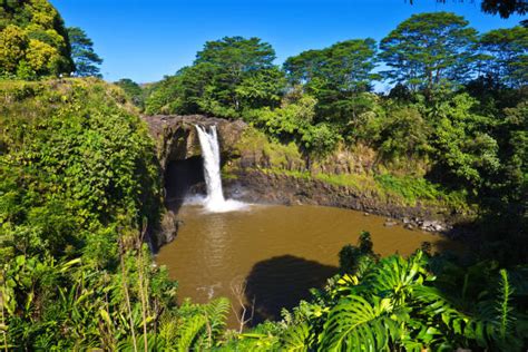 Best Rainbow Falls Hilo Stock Photos, Pictures & Royalty-Free Images - iStock