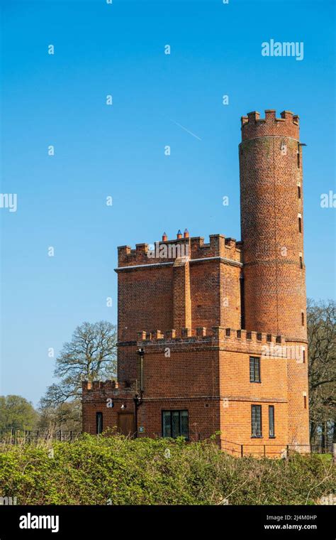 Herd of Cows Blickling Park, Blickling, Norfolk Stock Photo - Alamy