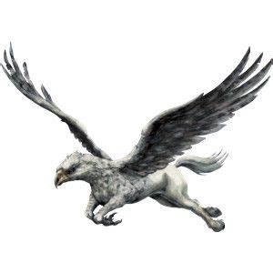 Buckbeak Hippogriff Flying | Creature mitologiche, Mitologia, Disegni