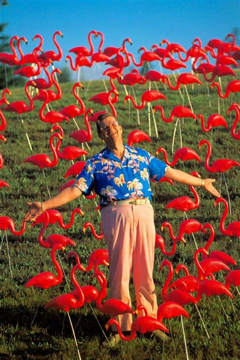 Don Featherstone, Inventor of the Pink Flamingo (in Plastic), Dies at 79 - The New York Times