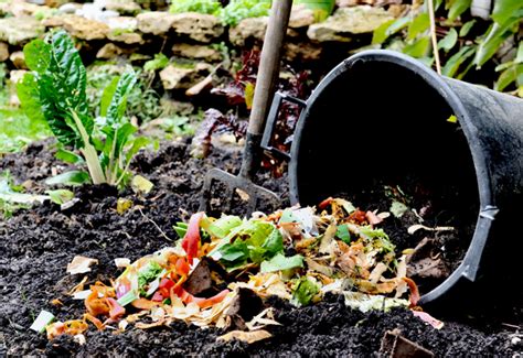 How to Make Compost From Recycled Materials - Urban Gardens