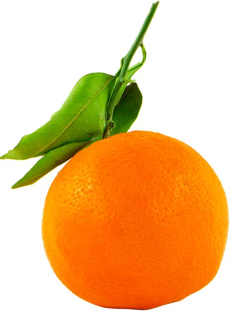 Photo gratuite: Fruit, Orange, Transparent, Détouré - Image gratuite sur Pixabay - 1218149