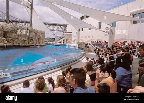 Corpus Christi Texas USA Texas State Aquarium Dolphin Bay Exhibit ...