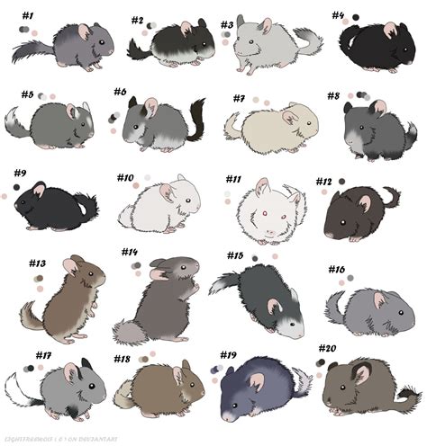 Chinchilla adoptables - ON HOLD by ForeignFrontierRanch on DeviantArt