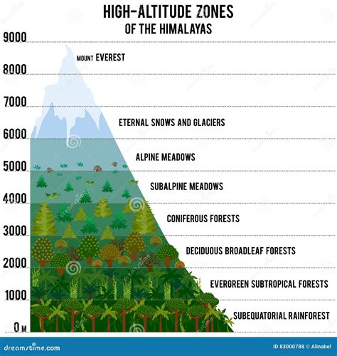Vector Illustration with High-altitude Zones of the Himalayas Stock Vector - Illustration of ...