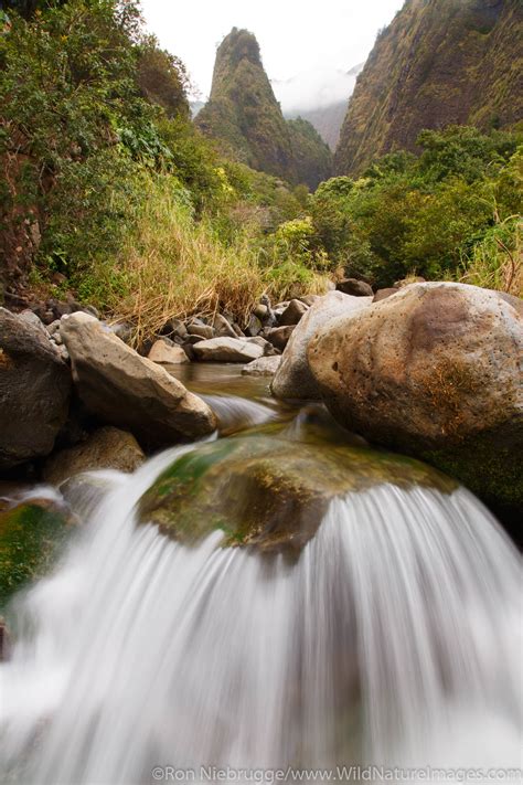 Iao Valley State Monument | Maui, Hawaii | Photos by Ron Niebrugge