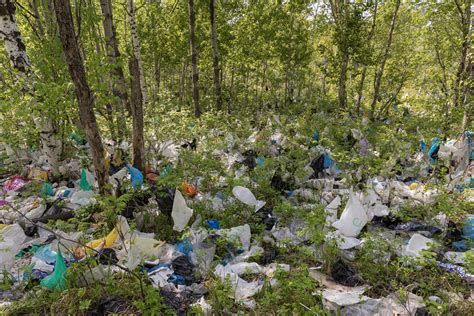 World Environment Day 2018: “Beat Plastic Pollution” - The Atlantic