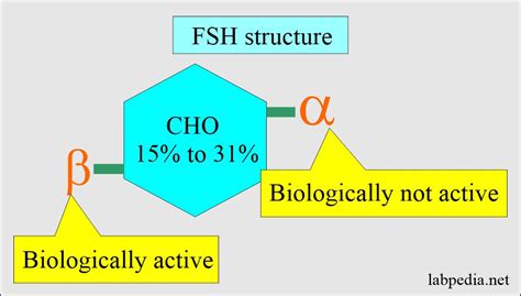 Follicle Stimulating Hormone (FSH) (Follicular Stimulating Hormone ...