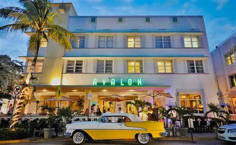 Avalon Hotel (Miami Beach, FL) - Hotel Reviews - TripAdvisor