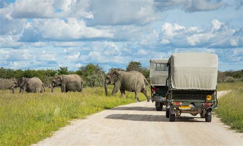 Etosha National Park: A Self Drive Safari in Namibia – Wandering Wheatleys