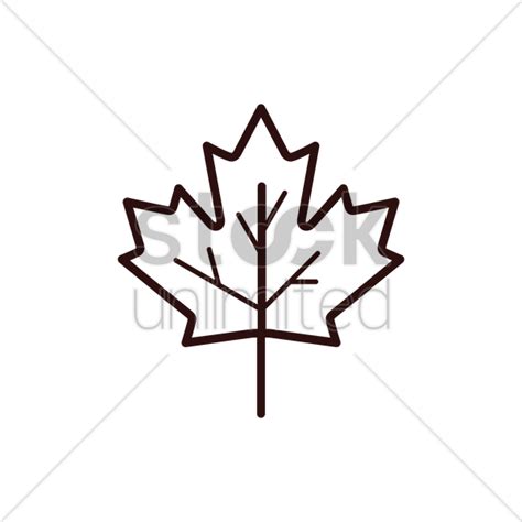 Maple Leaf Line Drawing | Free download on ClipArtMag