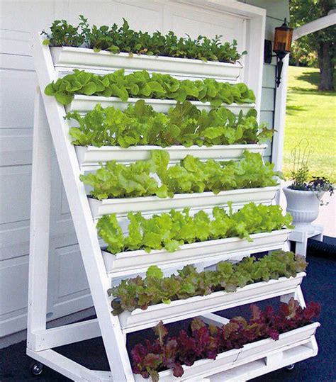 21 DIY Lettuce Garden Ideas (Lettuce Planter Projects for Gardeners)