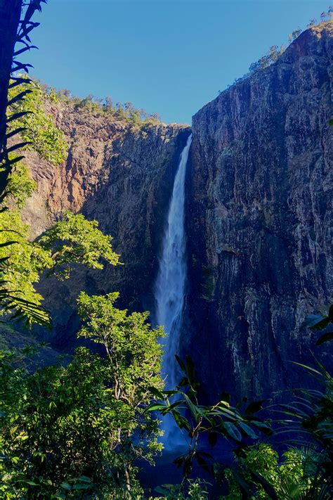 Wallaman Falls: Everything You Need to Know About Australia's Highest ...