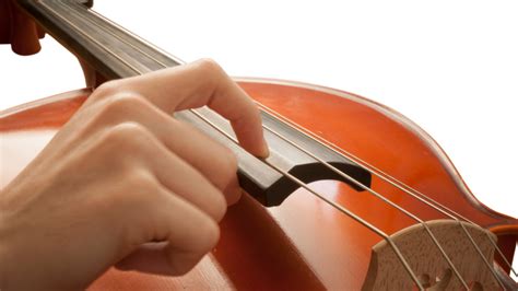 Best Strings For Cello: The Ultimate Guide In 2020 - Best Music Tool