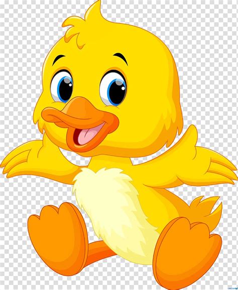 Duck Clipart Png