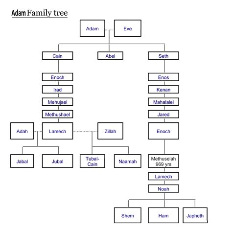 Arbre Genealogique Adam Eve