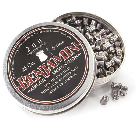 200-Pk. of Benjamin Destroyer .25 Caliber Pellets - 614984, Pellets ...