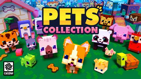 Pet Shop In Minecraft Marketplace Minecraft | ubicaciondepersonas.cdmx.gob.mx