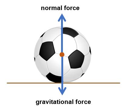 Balanced Forces Diagram