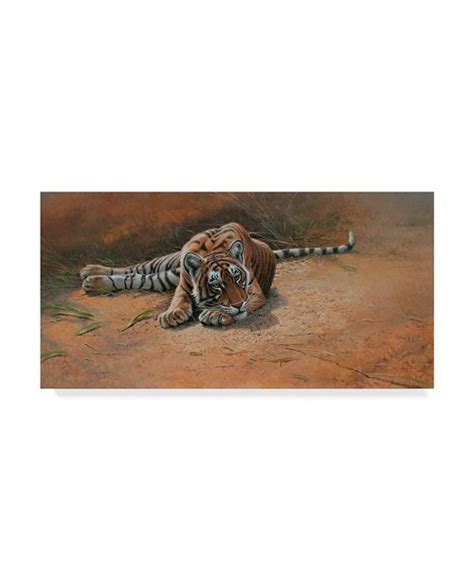 Trademark Global Michael Jackson 'Tiger Cub Heat Of The Day' Canvas Art - 47" x 24" & Reviews ...