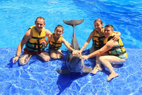 Discovery - Swim with Dolphin - Swim With Dolphin Bali