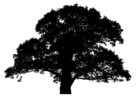 OnlineLabels Clip Art - Detailed Large Oak Tree Silhouette