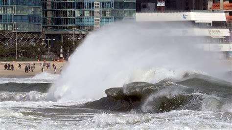 Typhoon Lan reaches Japan, bringing ferocious winds | CNN