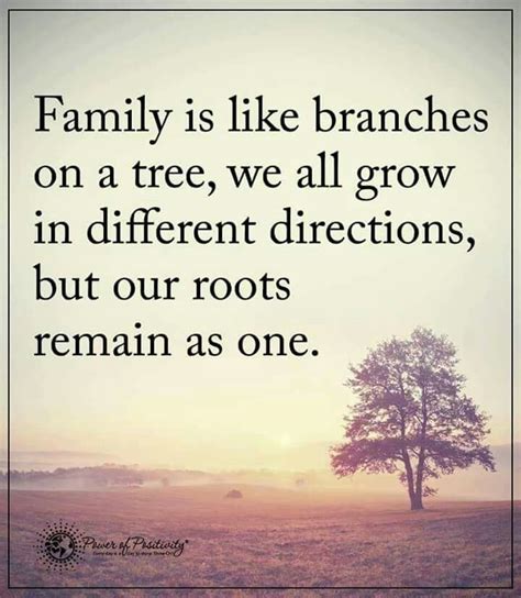 Pin by Beth on Signs, Sayings, Quotes & Cartoons | Family tree quotes, Tree quotes, Family quotes