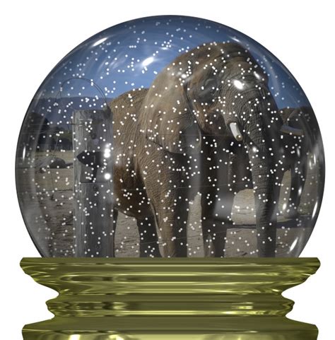 Elephant Snow Globe Free Stock Photo - Public Domain Pictures