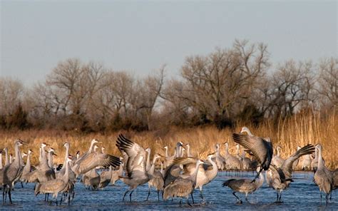 Platte River Prairies | The Nature Conservancy in Nebraska