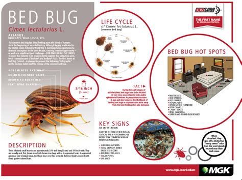 CrossFire Bed Bug Concentrate Fast knockdown & kill