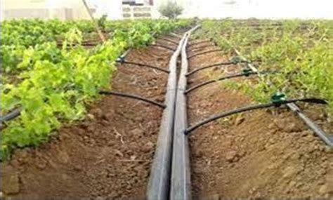 Example of Sprinkler Irrigation system | Download Scientific Diagram