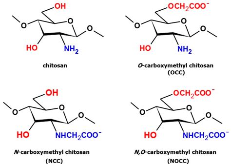 Molecules | Free Full-Text | Chitosan and Its Carboxymethyl-Based ...