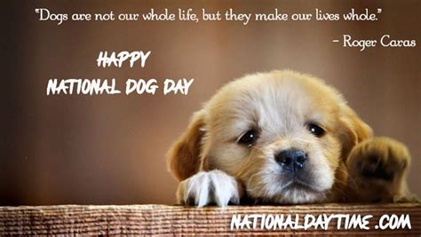 National Dog Day 2023: Best Cute & Loving Dog Day Captions for ...