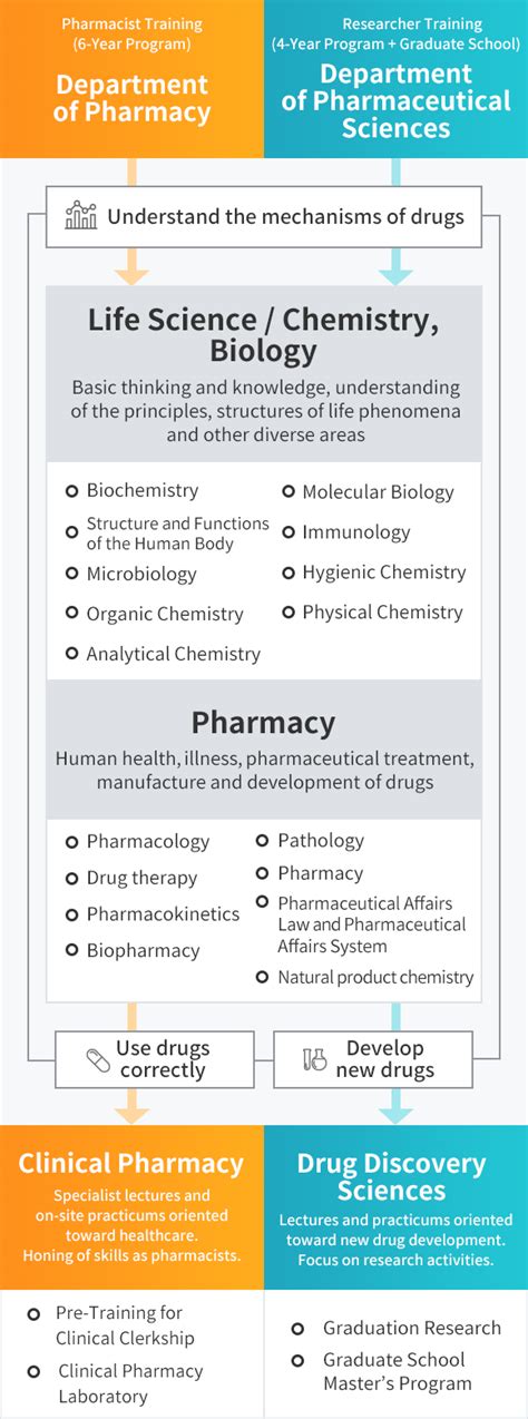 Curriculum of College of Pharmaceutical Sciences | College of ...