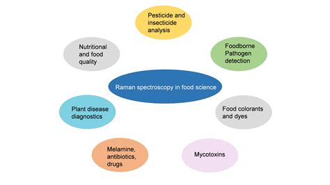 Food safety applications of surface-enhanced Raman Spectroscopy | SRM University AP, Andhra Pradesh