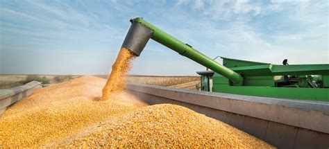 Long Term Grain Storage: How Long Can Grains Be Stored?