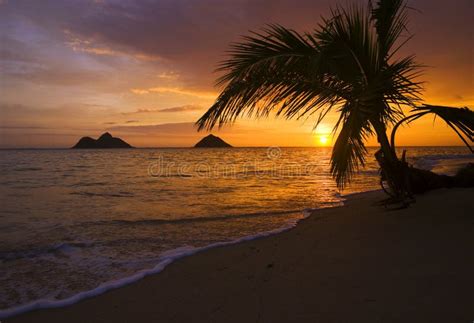 Sunrise At Lanikai Beach In Hawaii Stock Photo - Image: 7613248